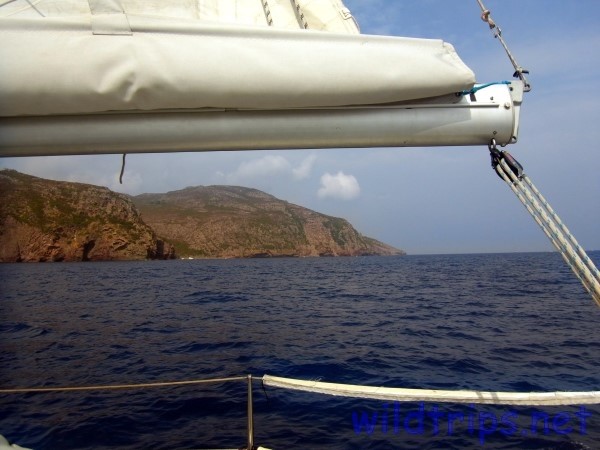 Sailing Capraia